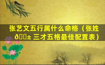张艺文五行属什么命格（张姓 🐱 三才五格最佳配置表）